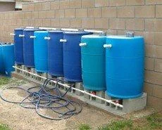 Rain barrels above the raised bed height all connect to supply water to the garden using gravity.